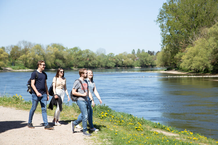 Studierende spazieren entlang der Donau