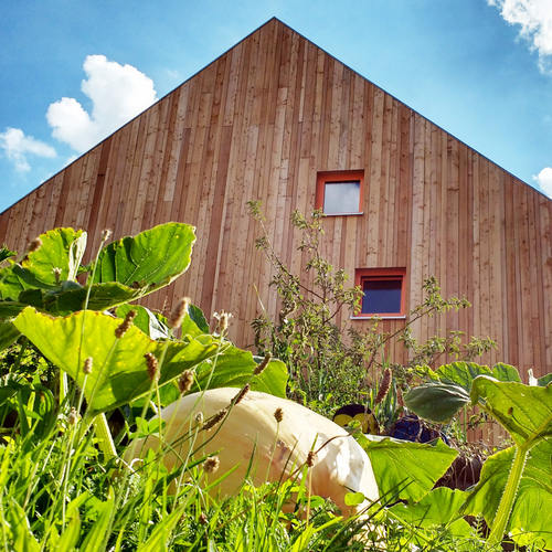 Ansicht modernes Holzhaus im Grünen